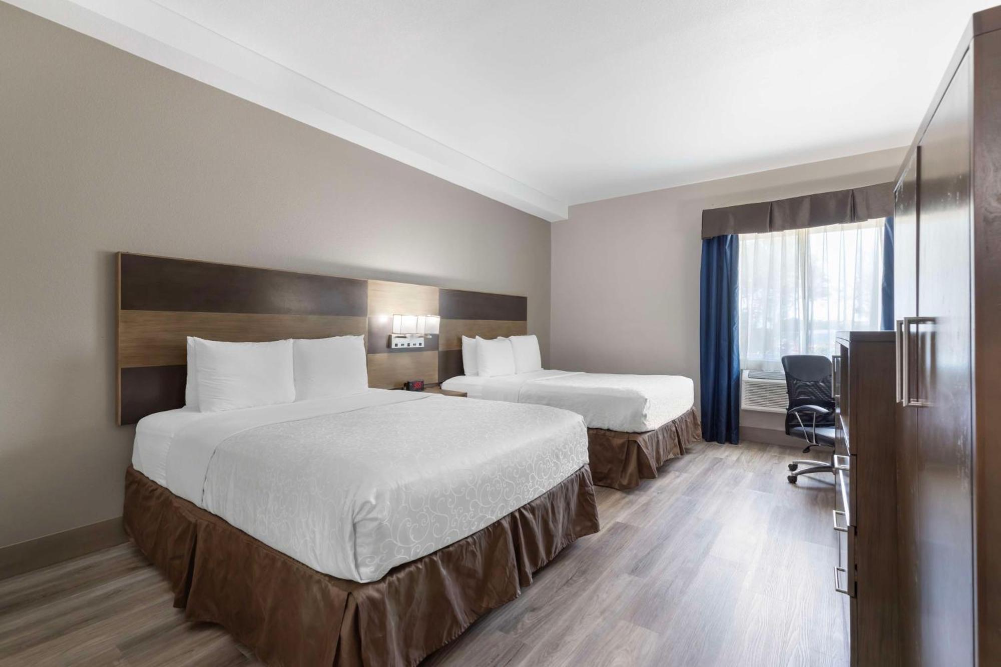 Best Western Plus Downtown North San Antonio Dış mekan fotoğraf
